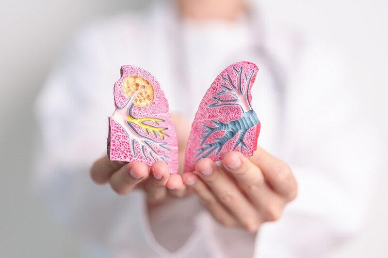 Doctor with Smoker and normal Lung anatomy for Disease. Lung Cancer, Asthma, Chronic Obstructive Pulmonary or COPD, Bronchitis, Emphysema, Cystic Fibrosis, Bronchiectasis, Pneumonia and world Lung day